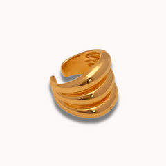 Anillo REGUGIO