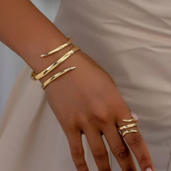 Conjunto DESTIERRO